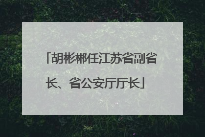 胡彬郴任江苏省副省长、省公安厅厅长