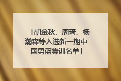 胡金秋、周琦、杨瀚森等入选新一期中国男篮集训名单