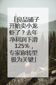 良品铺子开始卖小龙虾了？去年净利润下滑125%，专家称转型极为关键