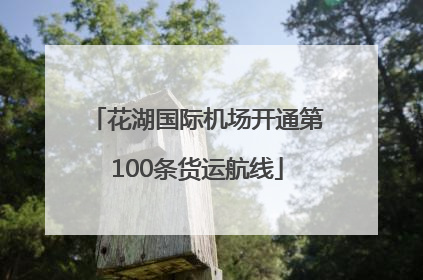 花湖国际机场开通第100条货运航线