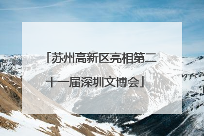 苏州高新区亮相第二十一届深圳文博会