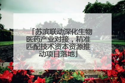 苏滨联动深化生物医药产业对接，精准匹配技术资本资源推动项目落地