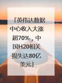 英伟达数据中心收入大涨超70%，中国H20相关损失达80亿美元