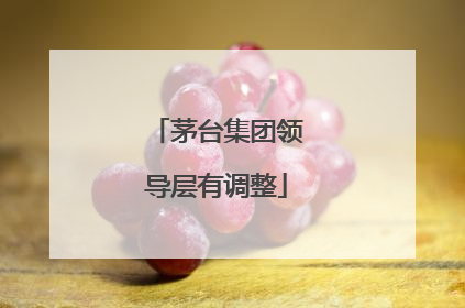 茅台集团领导层有调整