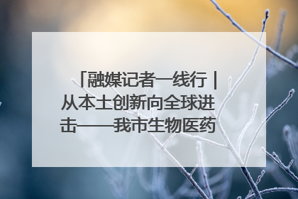 融媒记者一线行｜从本土创新向全球进击——我市生物医药产业破茧突围