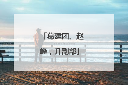 葛建团、赵峰，升副部