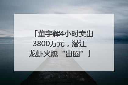 董宇辉4小时卖出3800万元，潜江龙虾火爆“出圈”