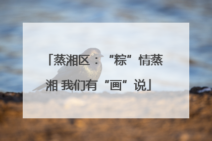 蒸湘区：“粽”情蒸湘 我们有“画”说