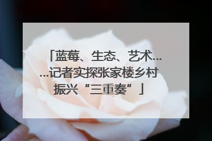 蓝莓、生态、艺术……记者实探张家楼乡村振兴“三重奏”