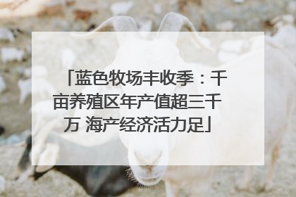 蓝色牧场丰收季：千亩养殖区年产值超三千万 海产经济活力足