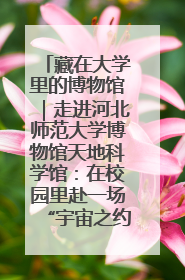 藏在大学里的博物馆｜走进河北师范大学博物馆天地科学馆：在校园里赴一场“宇宙之约”