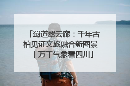 蜀道翠云廊：千年古柏见证文旅融合新图景丨万千气象看四川