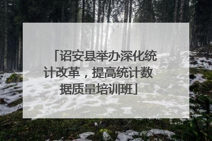 诏安县举办深化统计改革，提高统计数据质量培训班