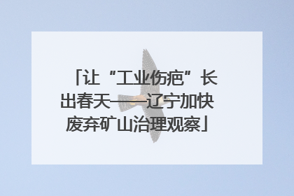 让“工业伤疤”长出春天——辽宁加快废弃矿山治理观察