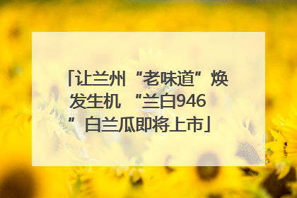 让兰州“老味道”焕发生机 “兰白946”白兰瓜即将上市