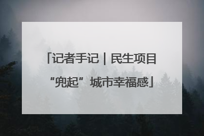 记者手记｜民生项目“兜起”城市幸福感