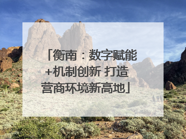 衡南：数字赋能+机制创新 打造营商环境新高地