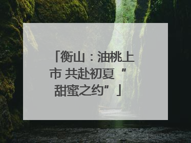 衡山：油桃上市 共赴初夏“甜蜜之约”