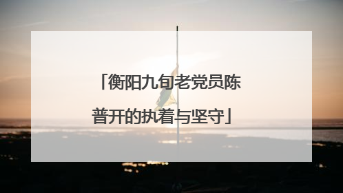 衡阳九旬老党员陈普开的执着与坚守