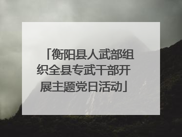 衡阳县人武部组织全县专武干部开展主题党日活动