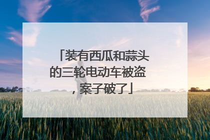 装有西瓜和蒜头的三轮电动车被盗，案子破了