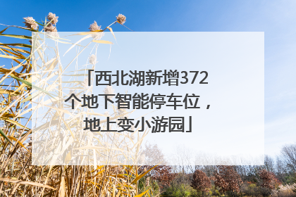 西北湖新增372个地下智能停车位，地上变小游园