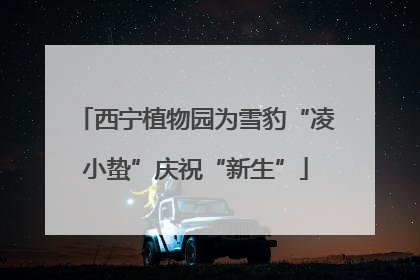 西宁植物园为雪豹“凌小蛰”庆祝“新生”