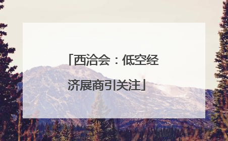 西洽会：低空经济展商引关注