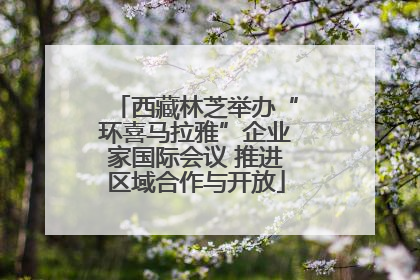 西藏林芝举办“环喜马拉雅”企业家国际会议 推进区域合作与开放