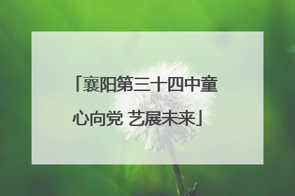 襄阳第三十四中童心向党 艺展未来