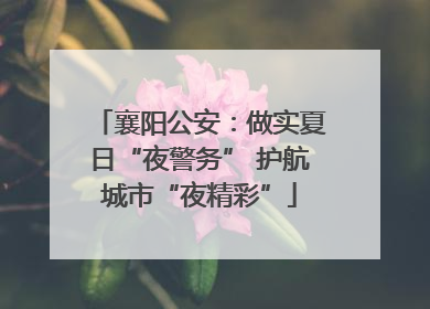 襄阳公安：做实夏日“夜警务” 护航城市“夜精彩”
