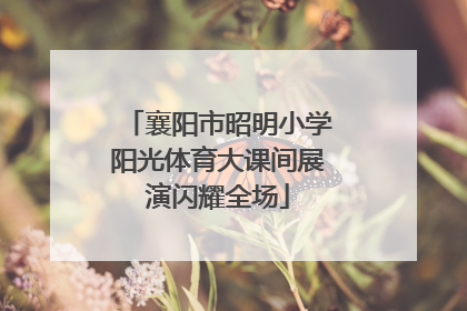 襄阳市昭明小学阳光体育大课间展演闪耀全场