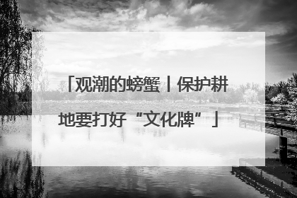 观潮的螃蟹丨保护耕地要打好“文化牌”