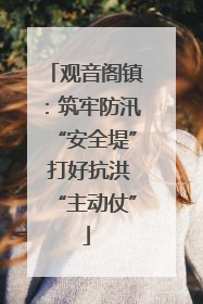观音阁镇：筑牢防汛“安全堤” 打好抗洪“主动仗”