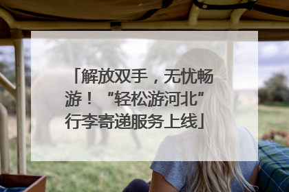 解放双手，无忧畅游！“轻松游河北”行李寄递服务上线