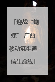 迎战“蝴蝶” 广西移动筑牢通信生命线
