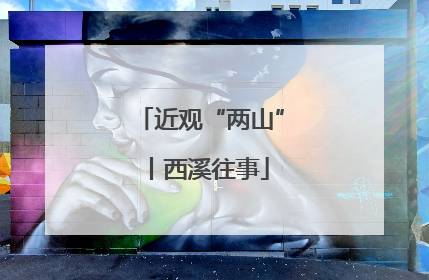 近观“两山”丨西溪往事
