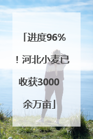 进度96%！河北小麦已收获3000余万亩