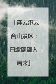 连云港云台山景区：白鹭翩翩入画来