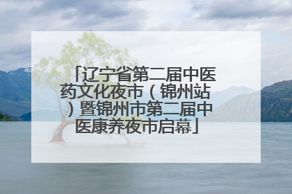 辽宁省第二届中医药文化夜市（锦州站）暨锦州市第二届中医康养夜市启幕