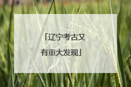 辽宁考古又有重大发现