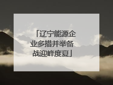 辽宁能源企业多措并举备战迎峰度夏