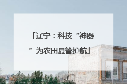 辽宁：科技“神器”为农田夏管护航