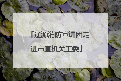 辽源消防宣讲团走进市直机关工委