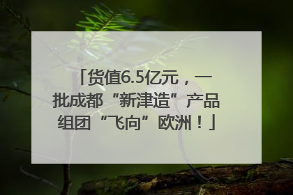 货值6.5亿元，一批成都“新津造”产品组团“飞向”欧洲！