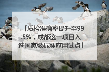 质检准确率提升至99.5%，成都这一项目入选国家级标准应用试点