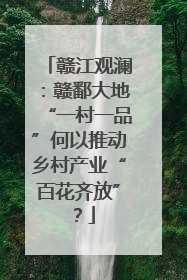 赣江观澜：赣鄱大地“一村一品”何以推动乡村产业“百花齐放”？