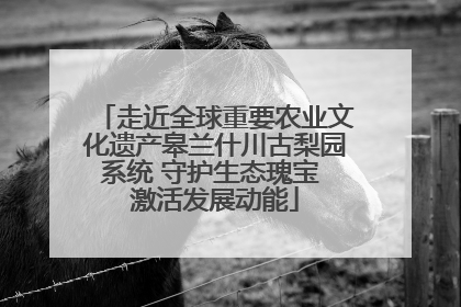 走近全球重要农业文化遗产皋兰什川古梨园系统 守护生态瑰宝 激活发展动能
