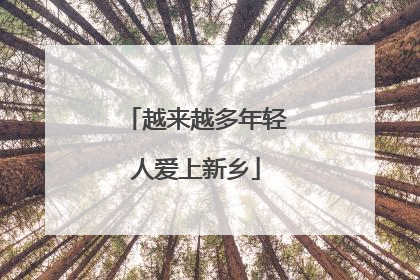 越来越多年轻人爱上新乡