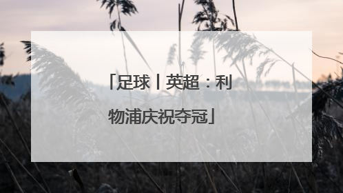 足球丨英超：利物浦庆祝夺冠